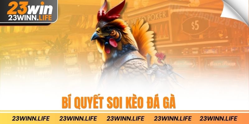Bí quyết soi kèo đá gà