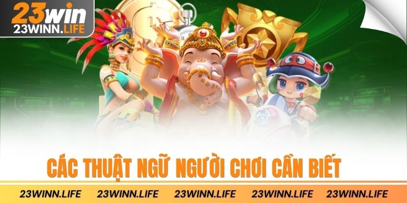 Các thuật ngữ người chơi cần biết