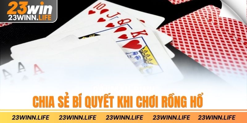 Chia sẻ bí quyết khi chơi rồng hổ