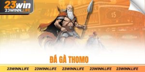 đá gà thomo