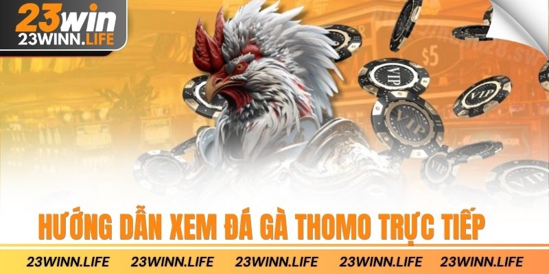 Hướng dẫn xem đá gà thomo trực tiếp