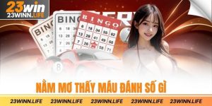 Nằm Mơ Thấy Máu Đánh Số Gì