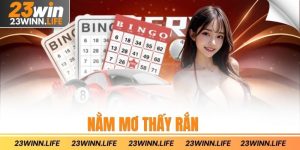 Nằm Mơ Thấy Rắn
