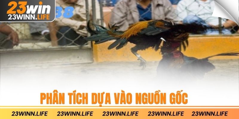 Phân tích dựa vào nguồn gốc