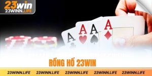 rồng hổ 23win