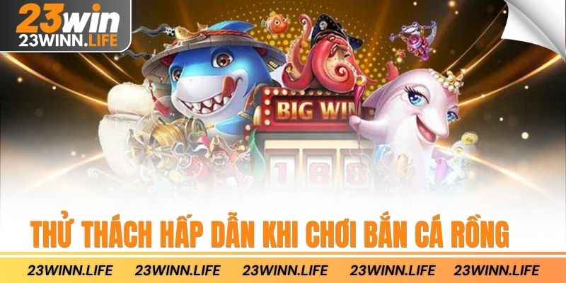Thử thách hấp dẫn khi chơi bắn cá rồng