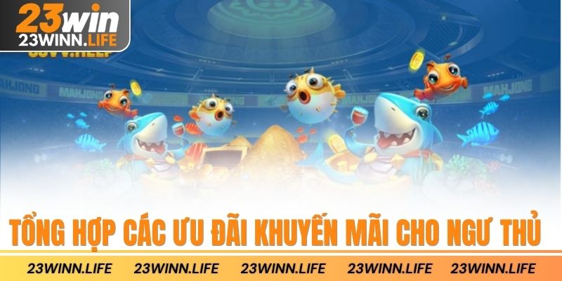 Tổng hợp các ưu đãi khuyến mãi cho ngư thủ