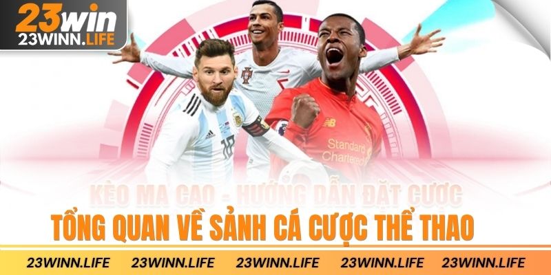 Tổng quan về sảnh cá cược thể thao