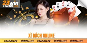xì dách online