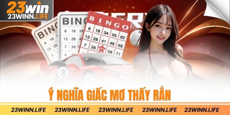 Ý nghĩa giấc mơ thấy rắn
